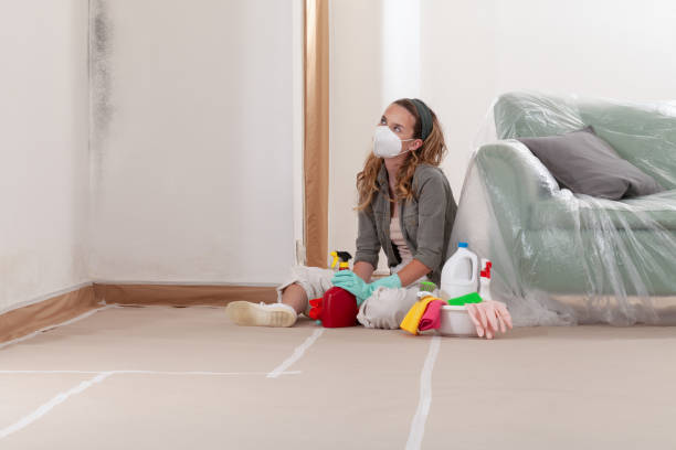 Reliable Mold Testing contractor in Luke, MD by WQB Mold Removal